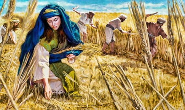 Ruth's story world: gleaning. 