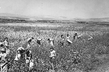 Kibbutz pioneers - Israel's Song of Hope haTikvah